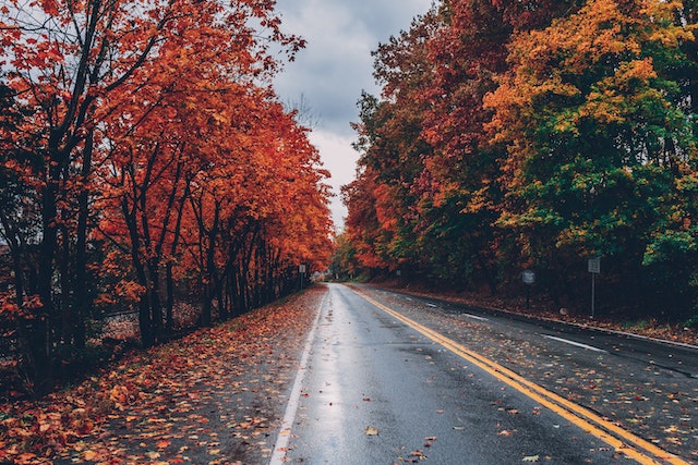 A couple considering the path ahead of their relationship